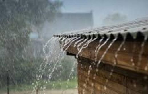 Rain