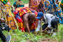 Pernod Ricard Ghana’s planting of 10,000 trees begins at Moree