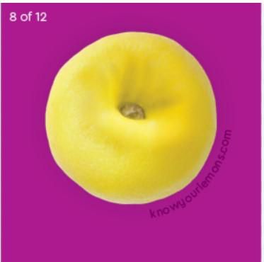 inverted nipples. knowyourlemons.com