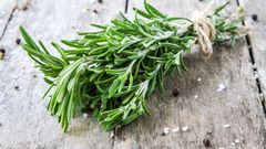 Rosemary spice
