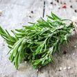 Rosemary spice