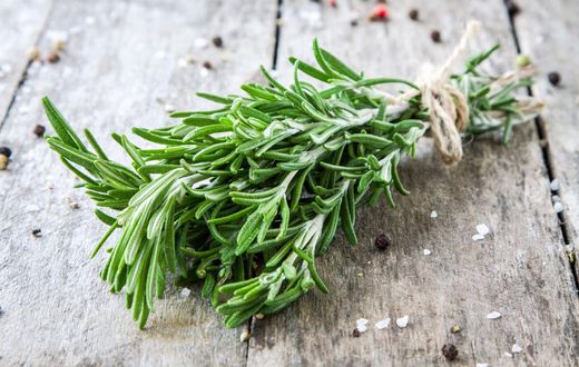 Rosemary spice