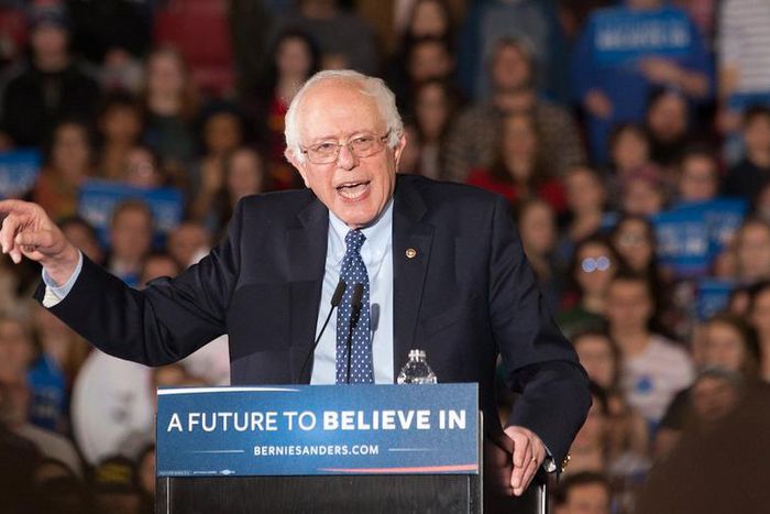 Bernie Sanders