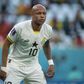 Andre Ayew