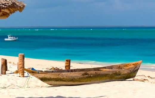 On a walk on a beach in Zanzibar, Melinda told TED in an interview, the couple "started to talk about" how they might use their fortune to help others.