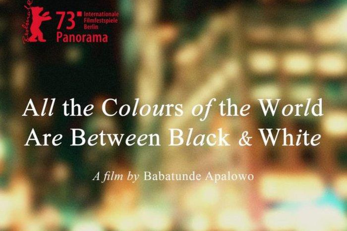 'All the Colours of the World Are Between Black and White' is a gay Nigerian drama [Akoroko News]