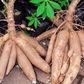 3 ex-convicts sentenced to 18 months imprisonment for stealing cassava worth GHC1,800