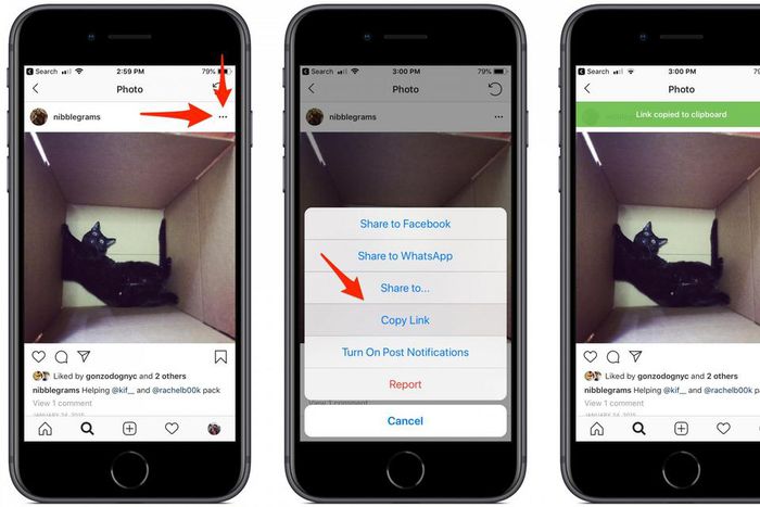 nibblegrams instagram