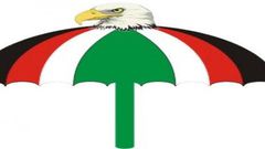 ___4102460___https:______static.pulse.com.gh___webservice___escenic___binary___4102460___2015___8___25___11___wpid-ghanacrusader.com-ndc