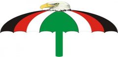 We won't entertain any vigilante group at our congress - NDC