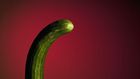 Cucumber vibrator