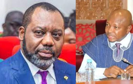 Ras Mubarak releases 'dumsor' timetable for Energy Minister Napo