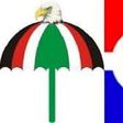 NDC and NPP