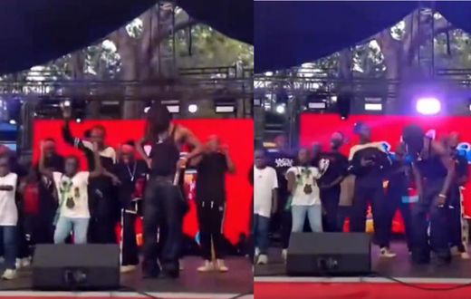 Stonebwoy’s Daughter Jidula mesmerise fans With dance moves