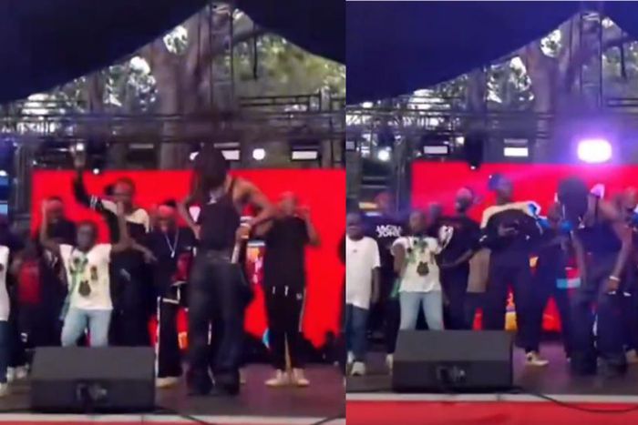 Stonebwoy’s Daughter Jidula mesmerise fans With dance moves