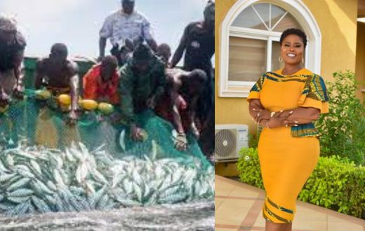 It's terrible; must be investigated - Joromo MP Affo-Toffey reacts to 'sex for fish'