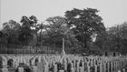 The setting of 'The Gravediggers' is Atan Cemetery in Yaba, Lagos State [Vistanium]