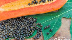 Papaya seeds