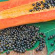Papaya seeds