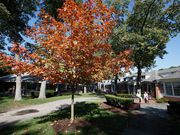 The 50 most expensive top private high schools in America