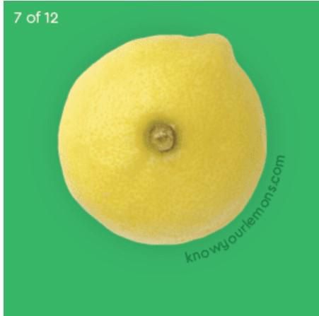 lump. knowyourlemons.com