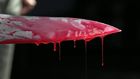 ___4219596___https:______static.pulse.com.gh___webservice___escenic___binary___4219596___2015___10___1___13___Bloody-Knife