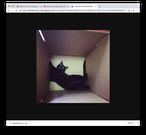 There's an easy trick for downloading photos from Instagram — here's how to do it (FB)