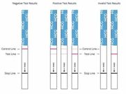 2 lines mean you may be pregnant [Fertility2Family]