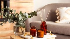 How to make your house smell good [MarthaStewart]