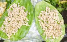 Escamoles [ElSoldeHidalgo]