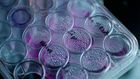 cancer cells