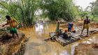 Galamsey affects cocoa farms