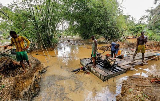 Galamsey affects cocoa farms