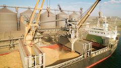 Black Sea Grain Initiative