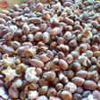 Mixed roasted corn and groundnuts (Aburo ni nkateɛ)