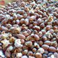 Mixed roasted corn and groundnuts (Aburo ni nkateɛ)