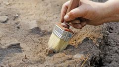 Archaeology [Shutterstock]