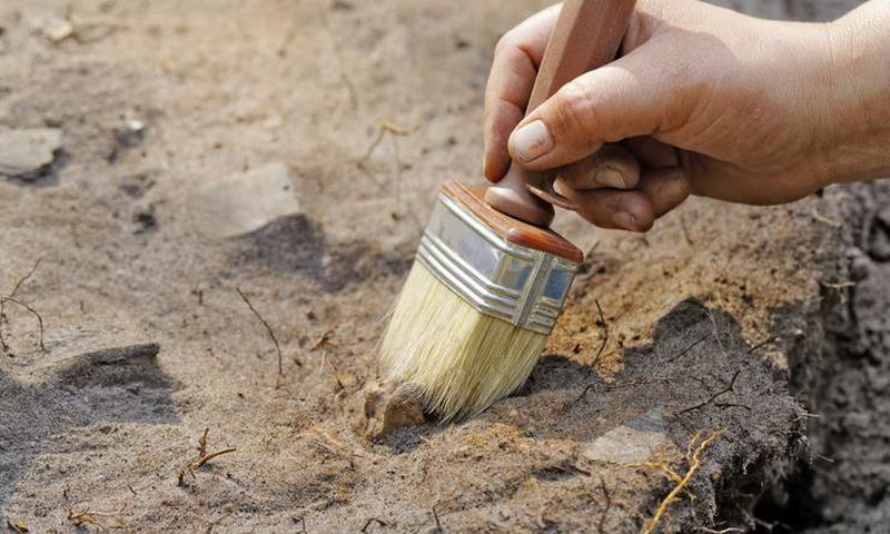 Archaeology [Shutterstock]