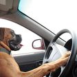 Stock photo: Dog on steering wheel