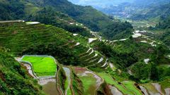 ___4817732___https:______static.pulse.com.gh___webservice___escenic___binary___4817732___2016___3___17___19___Philipines_1
