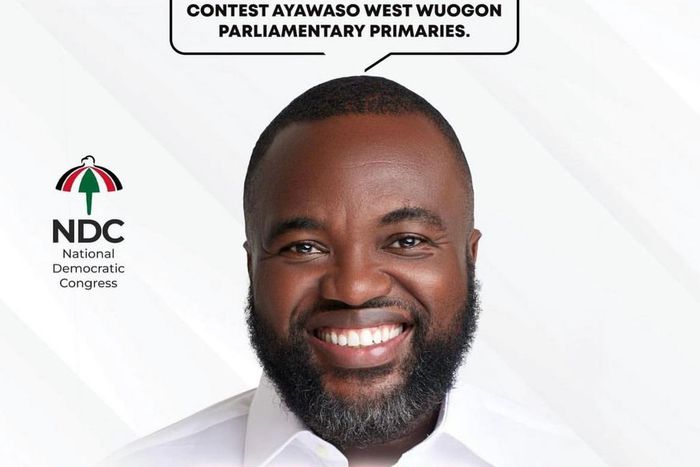 Freda Nuamah picks form to contest Ayawaso West Wuogon parliamentary primaries