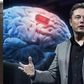 Elon Musk's Neuralink brain implants fulfils antichrist prophecy -Angel FM GM