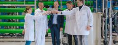 Company develops technology that turns pig’s blood into drinkable water