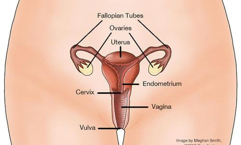 Cervical cancer