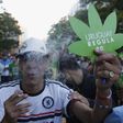Hard drug usage is legal in some parts of the world [ELPAISEnglish]