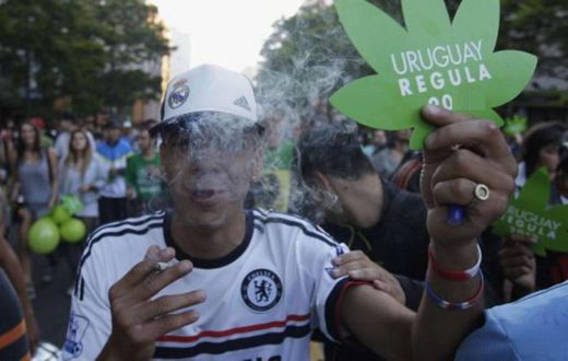 Hard drug usage is legal in some parts of the world [ELPAISEnglish]