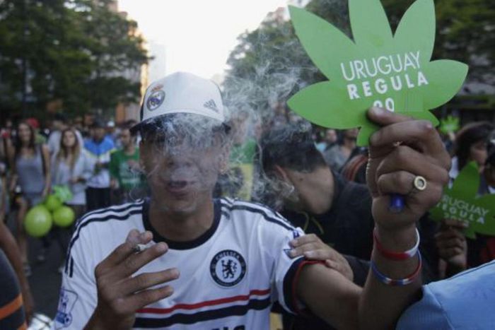 Hard drug usage is legal in some parts of the world [ELPAISEnglish]