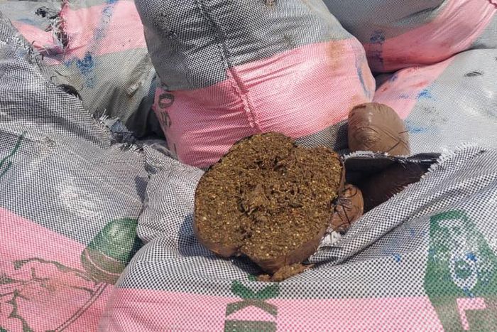 NACOC destroys GHS50 million worth of cannabis