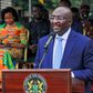 Dr. Mahamudu Bawumia, Ghana's Vice President