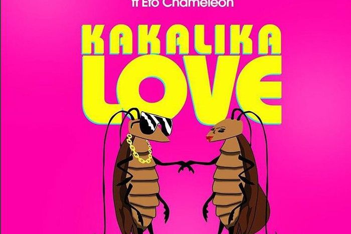 Kakalika love album cover